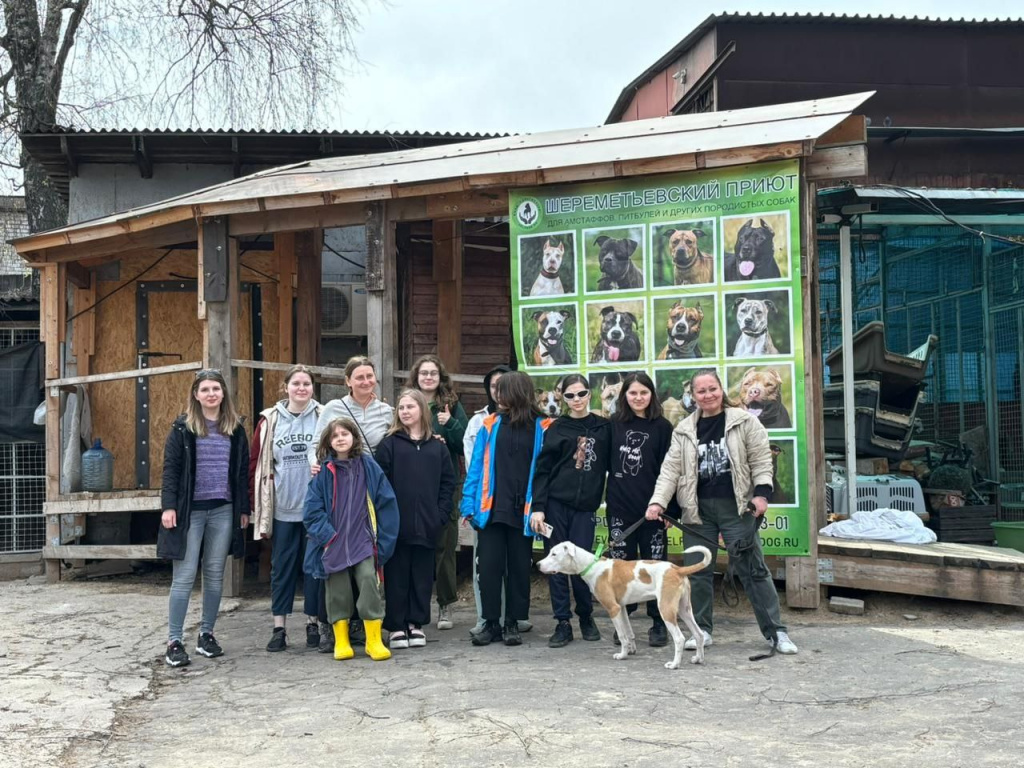 IMG_3625.jpeg IMG_3625.jpeg